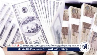 أستاذ اقتصاد: سياسة تثبيت سعر الصرف حتى 2022 خلقت هذه الاختلالات(فيديو)