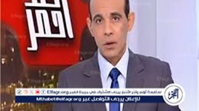 خبير علاقات دولية: حزب الله لن يدخل معركة جديدة..وسيسلم سلاحه للجيش اللبناني