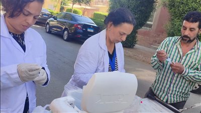 محافظة الجيزة: تجهيز شلتر إمبابة لإطلاق برنامج تعقيم الكلاب الضالة حفاظًا على سلامة المواطنين