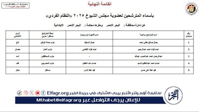 أقل الدوائر ترشيحًا.. الهيئة تعلن كشوف مرشحي البحر الأحمر لمجلس الشيوخ 2025