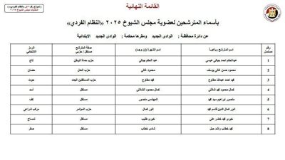 8 مرشحين يتنافسون على مقعد الوادي الجديد في انتخابات الشيوخ 2025