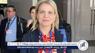 مدير الفرنسي للدراسات: قرار المحكمة الفرنسية بشأن لجوء فلسطينية من غزة يعكس ازدواجية مؤلمة بين القانون والواقع