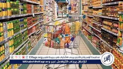 “Carry On”.. الحكومة تطلق أكبر سلسلة تجارية لتوفير السلع الغذائية بـ40 ألف منفذ على مستوى الجمهورية