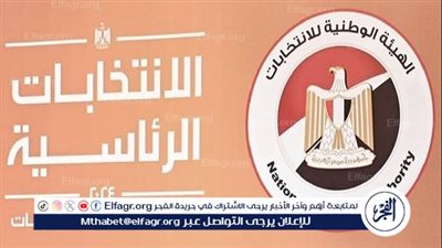 الهيئة الوطنية للانتخابات تكشف خريطة استعدادات تصويت المصريين بالخارج