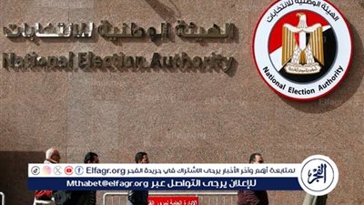 انتخابات الشيوخ 2025: تجهيز المقار الانتخابية بالخارج.. التفاصيل الكاملة