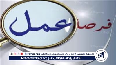 فرص عمل براتب يصل إلى 9200 جنيه.. وظائف أمن جديدة لجميع المؤهلات بالقاهرة وشرم الشيخ