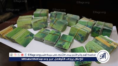 تموين المنيا يحرر 92 مخالفة تموينية ويضبط 878 بطاقة ذكية مخزنة بمخابز مطاي