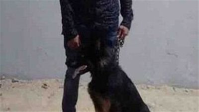 كشف ملابسات قيام شخص بإصطحاب كلب وممارسة أعمال البلطجة بالإسماعيلية 
