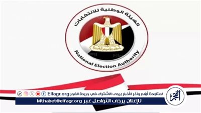 انتخابات مجلس الشيوخ 2025| تعرف على ضوابط الدعاية الانتخابية للمرشحين