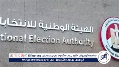 ما صلاحيات الهيئة الوطنية للانتخابات؟.. القضاء الإداري يؤكد استقلالها الكامل