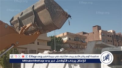 رفع 5 أطنان قمامة وأتربة في حملة نظافة بالأقصر (صور)