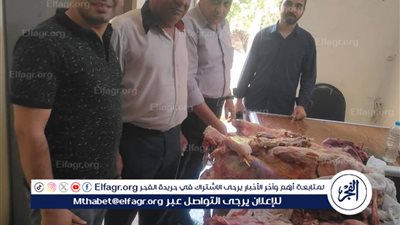 ضبط أكثر من 1.7 طن لحوم غير صالحة للاستهلاك الآدمي بأسيوط 