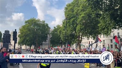 مدير بروكسل الدولي: مواقف الدول الأوروبية تجاه القضية الفلسطينية تشهد تحولات لافتة (فيديو)