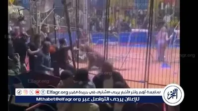 تفاصيل حبس أنوسة كوتة مدربة الأسود وتعويض 100 ألف جنية لعامل السيرك