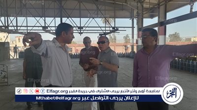سكرتير عام مساعد الدقهلية يتفقد محطة تعبئة الغاز بطلخا 