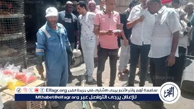 مرسى مطروح: تشن حملات علي محلات الجزارة والأسماك والدواجن وضبط 21 مخالفة