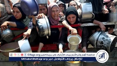 القاهرة الإخبارية: الدولة المصرية تجهّز مئات الشاحنات يوميًا.. والاحتلال مستمر في «هندسة التجويع»