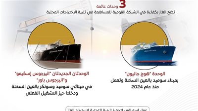 الحكومة تؤمن إمدادات الغاز بجميع القطاعات عبر وحدات التغييز العائمة لضمان استقرار الطاقة في مصر