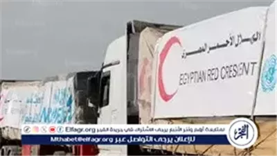 القاهرة الإخبارية: استمرار تدفق الشاحنات المحمّلة بالمساعدات من مصر إلى قطاع غزة