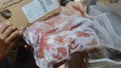 ضبط 11 طنًّا و500 كجم من مصنّعات وهياكل ومفروم دواجن ودهون فاسدة بالجيزة