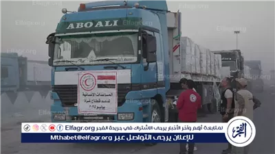 تتصدر قائمة الدول العربية والإفريقية.. القاهرة ضمن العشر الكبار عالميا في تقديم المساعدات الإنسانية لغزة