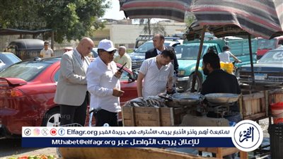 في جولة مفاجئة بمدخل ميت خميس.. محافظ الدقهلية يشدد على رفع الإشغالات وتنظيم المواقف العشوائي