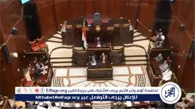 تعرف على 9 واجبات ومحظورات قانونية تنظم عمل عضو مجلس الشيوخ