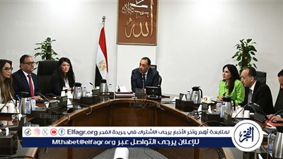 الحكومة: إنشاء وحدة مركزية لحصر ومتابعة وتنظيم الشركات المملوكة للدولة ضمن خطة إصلاح الأصول وتعزيز الشفافية