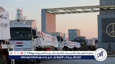 قافلة مساعدات تضم 200 شاحنة تصل غزة بدعم مصري وأممي وعربي (فيديو)