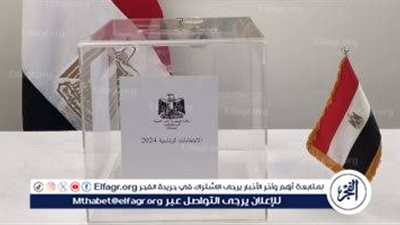 كيف تدلي بصوتك من الخارج؟ دليل مبسط للمصريين المغتربين
