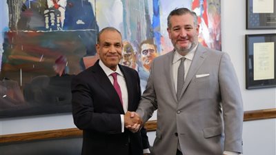 وزير الخارجية يلتقي السيناتور 