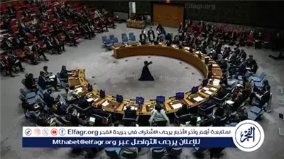 ماذا تعرف عن حق الفيتو؟