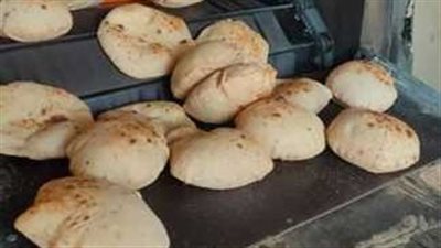 تحرير 36 محضر مخالفة ضد أصحاب المخابز المخالفة بالغربية