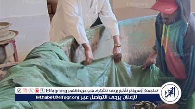 لتعزيز الأمن الغذائي.. خطة وطنية لرفع إنتاج الأسماك بالمصايد المصرية.. وإطلاق أكثر من 5 ملايين وحدة زريعة بـ 9 محافظات