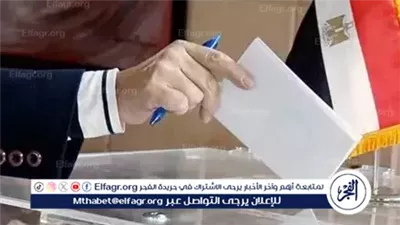 اتحاد الجالية المصرية بالبحرين يكشف كواليس التصويت في انتخابات الشيوخ