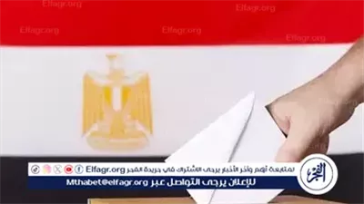  القومي لحقوق الإنسان يكشف آخر الاستعدادات لبدء انتخابات مجلس الشيوخ