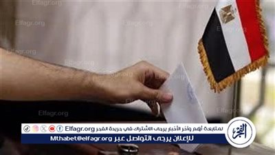 لليوم الثاني على التوالي.. استمرار تصويت المصريين بالخارج فى انتخابات الشيوخ 2025