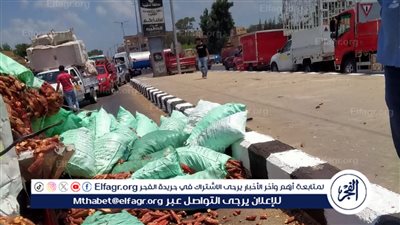 تفاصيل انقلاب سيارة محملة بالبطاطا علي طريق سندوب أجا في الدقهلية 