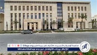 متحدث التعليم العالي: الجامعات المصرية تسجل رقمًا قياسيًا.. وتخصصات جديدة ترتبط بالعالم الرقمي 