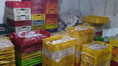 بيطري الجيزة يضبط 5806 كجم من مصنعات اللحوم والدواجن الفاسدة