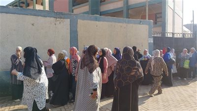 توافد الناخبين على لجان انتخابات مجلس الشيوخ بالقليوبية