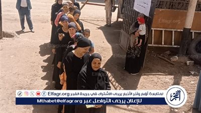 السيدات يتصدرن المشهد الانتخابي بانتخابات مجلس الشيوخ بمركز صدفا في أسيوط 