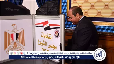 كبار مسؤولي الدولة يتصدرون المشهد الانتخابي في اليوم الأول من انتخابات مجلس الشيوخ 2025