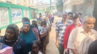  إقبال لافت من السيدات على انتخابات الشيوخ بالقليوبية