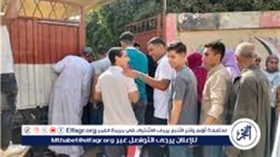 عاجل- 30 متابعًا دوليًا من 14 دولة يراقبون انتخابات «الشيوخ»