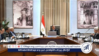 رئيس الوزراء يواصل مشاوراته السياسية: دعم الاستقرار الداخلي وموقف مصر من قضايا الإقليم في صدارة النقاش