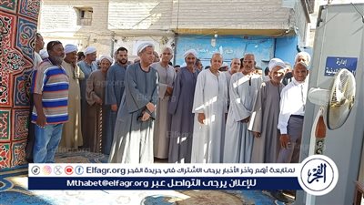 توافد متزايد من المواطنين بقنا في اليوم الثاني والأخير من انتخابات مجلس الشيوخ