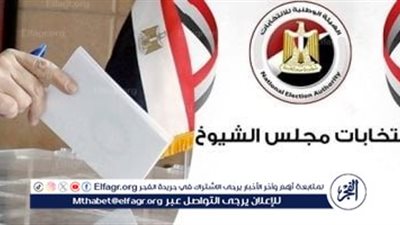 شاهد | رسالة من قلب الجيزة.. الحوامدية تختار ممثليها في مجلس الشيوخ من داخل مدرسة الشيخ عثمان