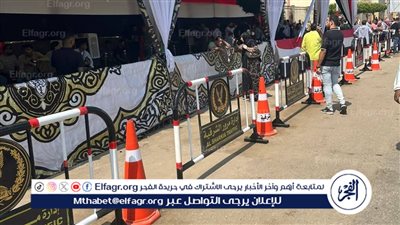 انتخابات مجلس الشيوخ 2025| توافد الناخبين على لجان الاقتراع بالشرقية للإدلاء بأصواتهم