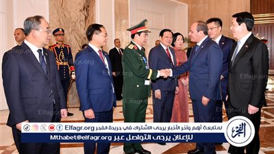 السيسي خلال استقباله رئيس فيتنام: شراكة شاملة بين البلدين.. وغزة تتعرض لإبادة جماعية والضمير العالمي صامت